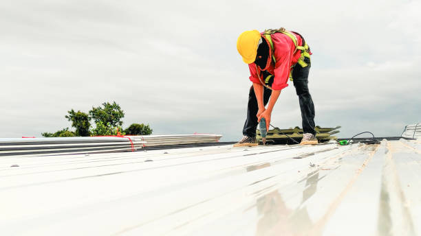 Best Roof Insulation Installation  in Gardendale, TX