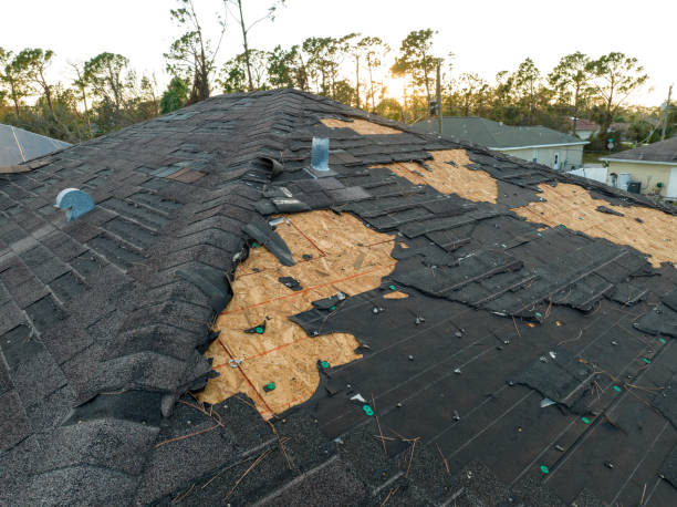 Best 4 Ply Roofing  in Gardendale, TX